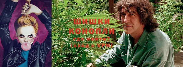 кокаин колумбия Алзамай