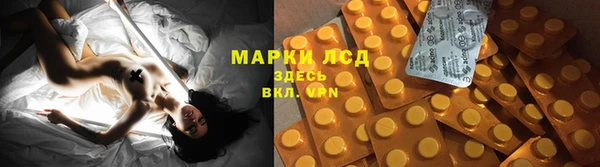 молекула духа Дмитриев