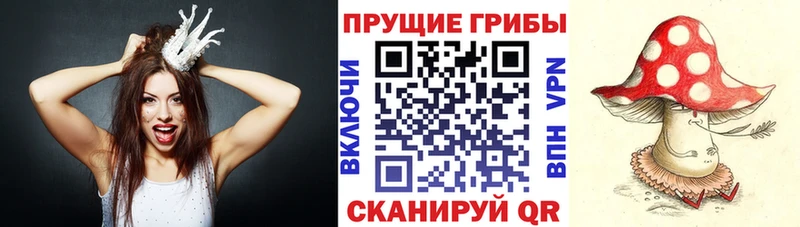 купить наркоту  Нижний Тагил  Галлюциногенные грибы GOLDEN TEACHER 