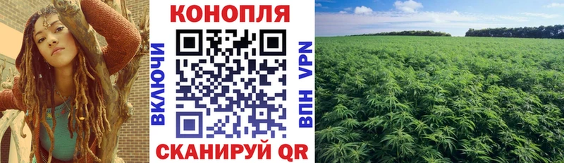 Канабис конопля  как найти наркотики  Нижний Тагил 